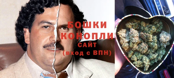 спиды Няндома
