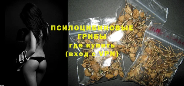 спиды Няндома