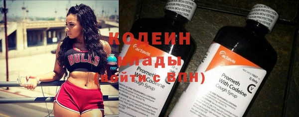 спиды Няндома